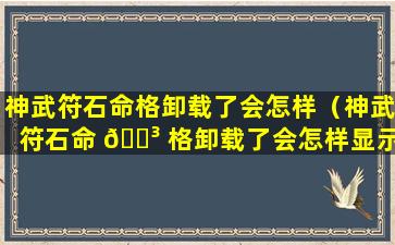 神武符石命格卸载了会怎样（神武符石命 🐳 格卸载了会怎样显示）